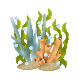 Coral  Icon