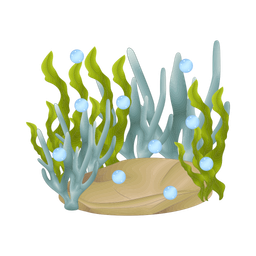 Coral  Icon