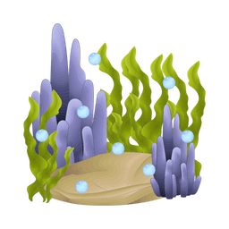 Coral  Icon