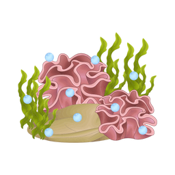 Coral  Icon