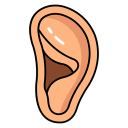 Auditory organ  Icon