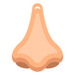 Olfactory organ  Icon