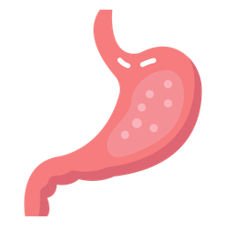 Abdominal organ  Icon