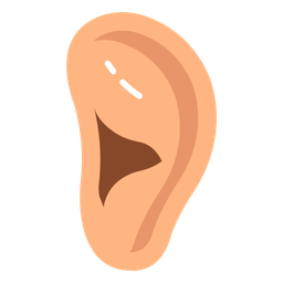 Auditory organ  Icon