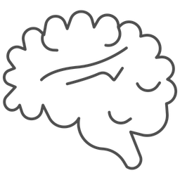 Brain Brain Anatomy  Icon