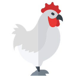 Chicken Hen  Icon