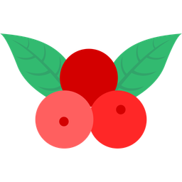 Berries  Icon