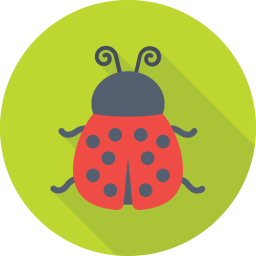 Bug  Icon