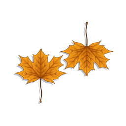 Maple leaf  Icon