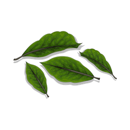 Leaf  Icon