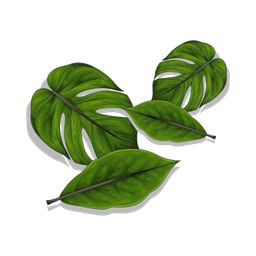 Monstera leaf  Icon