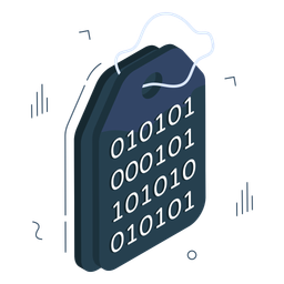 Binary Code Tag  Icon