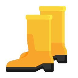 Boot  Icon