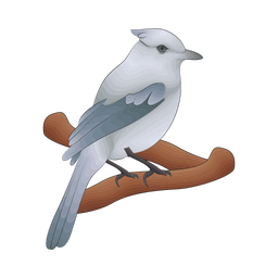 Bird  Icon