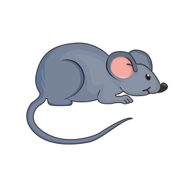 Mouse grey  Icon