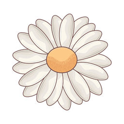 Daisy flower  Icon