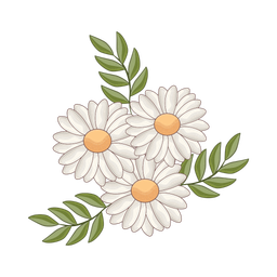 Daisy flower  Icon