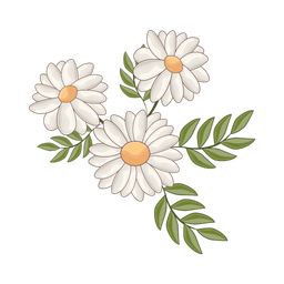 Daisy flower  Icon