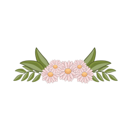 Daisy flower  Icon