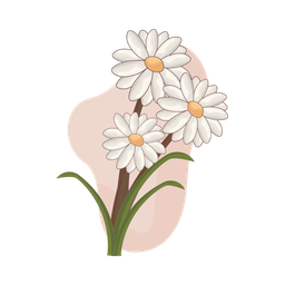 Daisy flower plant  Icon