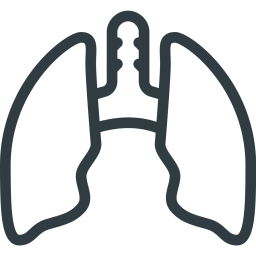 Anatomy  Icon