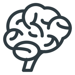 Brain  Icon