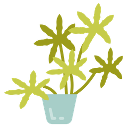 Aralia  Icon