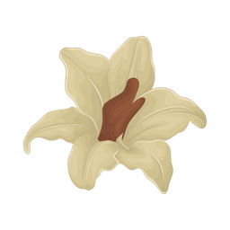 Flower  Icon