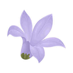 Flower  Icon