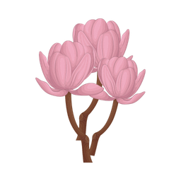 Flower  Icon