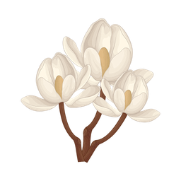 Flower  Icon