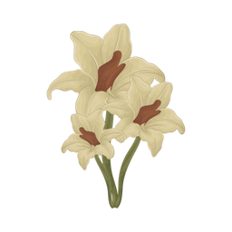 Flower  Icon