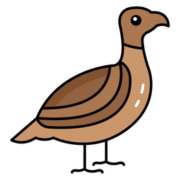 Ground-dwelling birds  Icon