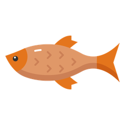 Saltwater Species Sustainable Fishing Marine Biodiversity Icon