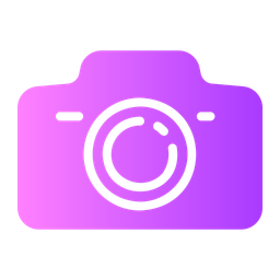 Camera  Icon