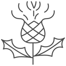 Celtic Thistle  Icon