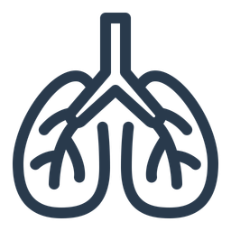 Lungs  Icon