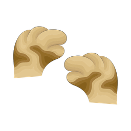 Cat paw  Icon