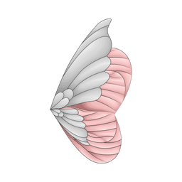 Wing  Icon