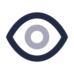 Eye  Icon