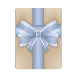 Gift bow  Icon