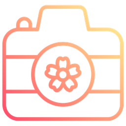 Camera  Icon