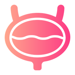 Bladder  Icon