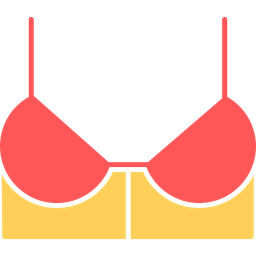 Bra  Icon