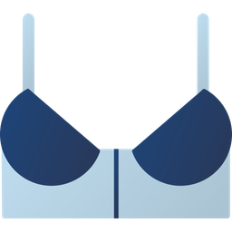 Bra  Icon