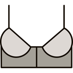 Bra  Icon