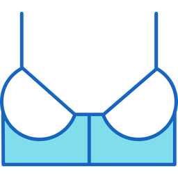 Bra  Icon