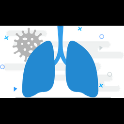 Lungs  Icon