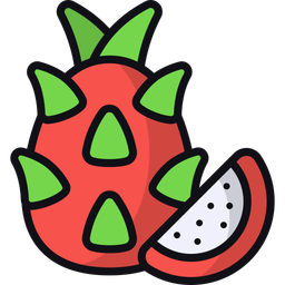 Dragon fruit  Icon