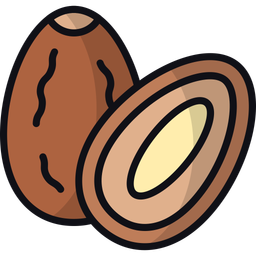 Date fruit  Icon